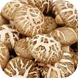 Lentinus edodes
