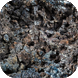 Slag
